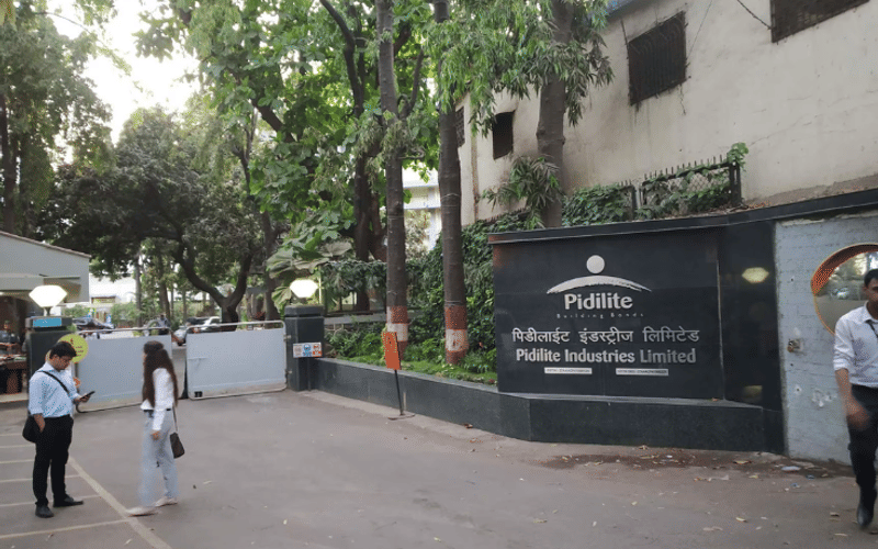 Pidilite maintains growth amid challenges